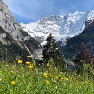 Meet your Posher, Courtney